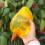 Group Of 5 Durable Watering Devices Suitable For Various-s 7
