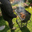 Charcoal BBQ Grill Dual Zone Garden Trolley 7