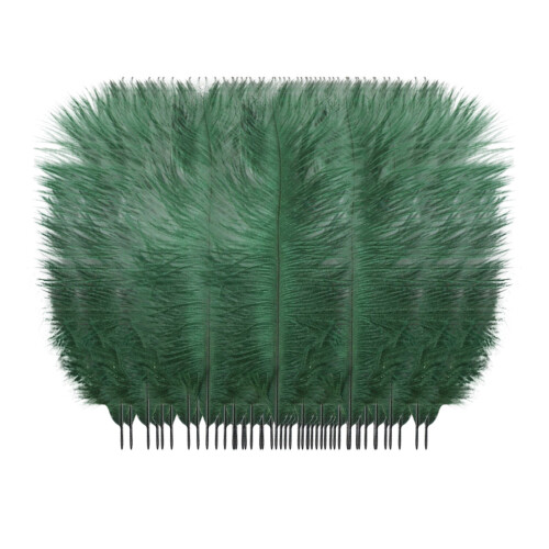 Plumage coloré pour centres de table de mariage (1 pièce) 1