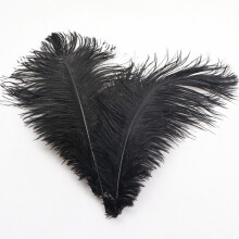 Plumas decorativas de penas de avestruz, 30-35 cm, pretas.