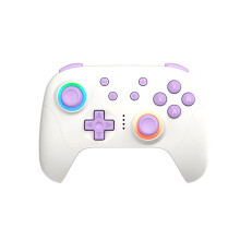 Retro Games Controller Bedrade/Draadloze  RGB Hall Effect Joystick voor  Gamepad voor PC voor Android IOS Steam B