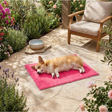 Tappeto rinfrescante per cane 50 x 70 cm Fresk fucsia