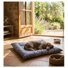 Cuscino rinfrescante per cani - EDEN - 56x66 cm - Grigio - Poliestere e gel non tossico - Rettangolare