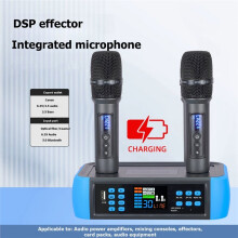 D80 Multi Channel DSP Microphone Anti Whistling Reverb Wireless Microphone Singing Home KTV Microphone US Plug