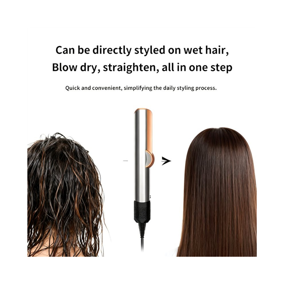 Professional 2-in-1 Hair Dryer and Straightener Negative Ion Iron Long Lasting Styling Tool WetandDry Straightener EU