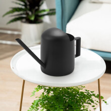 Watering Can, 300 Ml Black Stainless Steel Watering Can, Long-Mouth Plant Watering Can, Suitable for Garden Plants