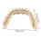 Smile dentures, upper and lower dental veneers-DG 4