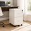 Mobile File Cabinet with Lock, 2 Drawers, A4/Letter Files 2