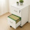 Mobile File Cabinet with Lock, 2 Drawers, A4/Letter Files 3