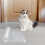 Carpet Protector for Pets,Cat Carpet Protector ,Under Door Mat Cat Carpet Scratch Stopper,Cat Scratch Guard Carpet 3ft 7