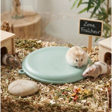 Kühlplatte für Nagetiere 21 cm Aleska blau