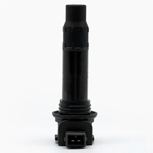 Ignition Coil for CF250 250NK SR CLX CF250NK CF250SR 250NK 250SR GR250 ODMO-178000
