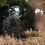 CARUBA Camouflage Net 4x1.5M Hout 1