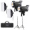 Godox GODOX Kit Duo Torche LED LA150Bi Bi-color 1