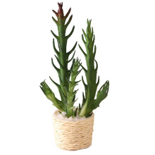 1:6 Dollhouse Miniature Cactus Vase Flower Potted Plants Flowerpot Tree Potted Dollhouse Decor Toy,C