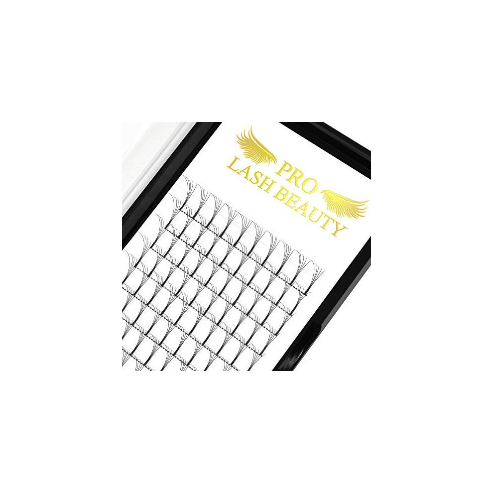 Pro Lashbeauty Pre Made Fan Eyelash Extensions 4D-D-0.07-13 Long Stem Pre Fanned Russian Volume Lashes 0.07 0.10 Premade Fans Eyelash Extension C D Curl Lash