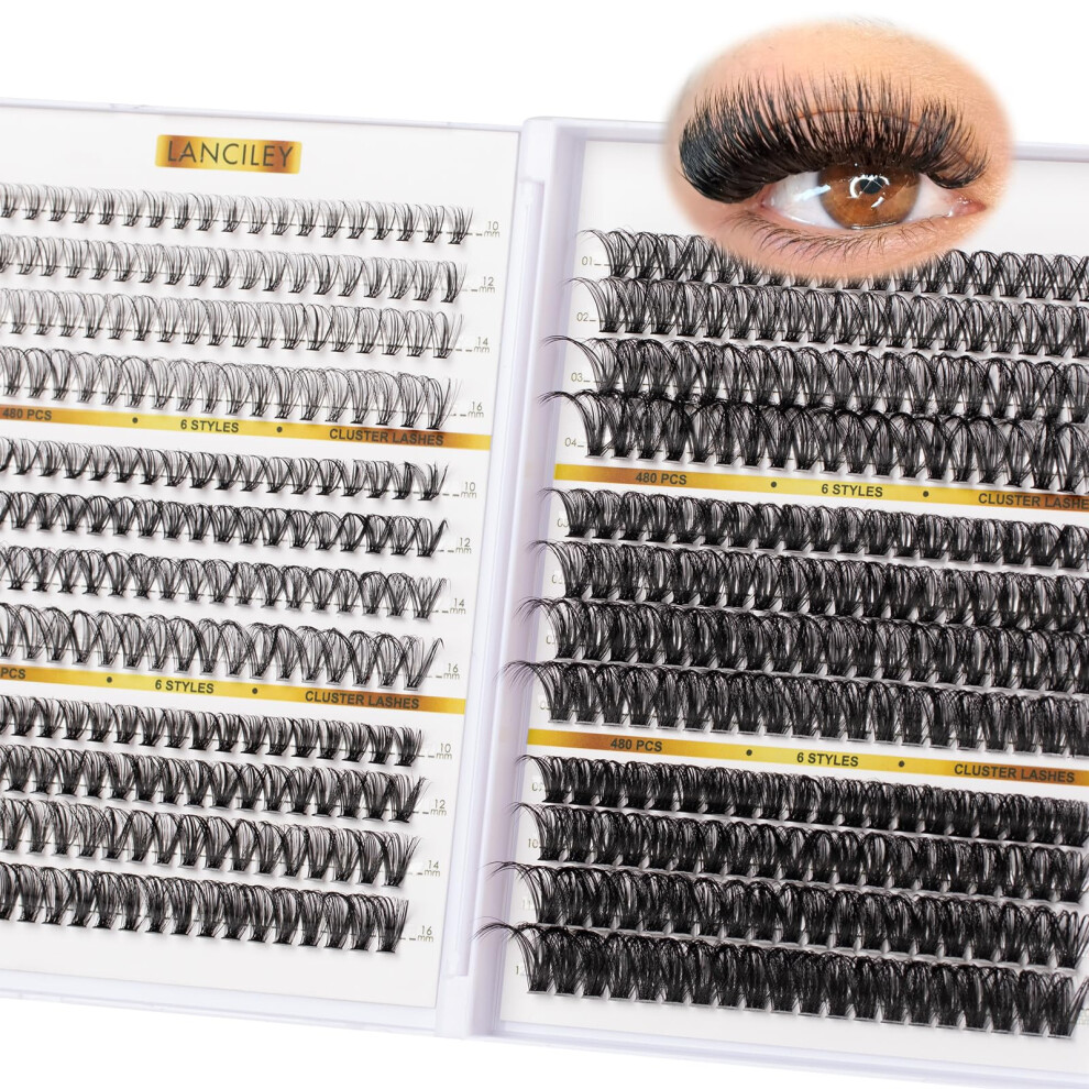 Lanciley Individual Eyelashes 480Pcs Cluster Lashes 10-20Mm 20D 30D 40D 60D 80D 100D Thick Volume Lash Extensions Natural D Curl Lashes Soft Volume Eyelash
