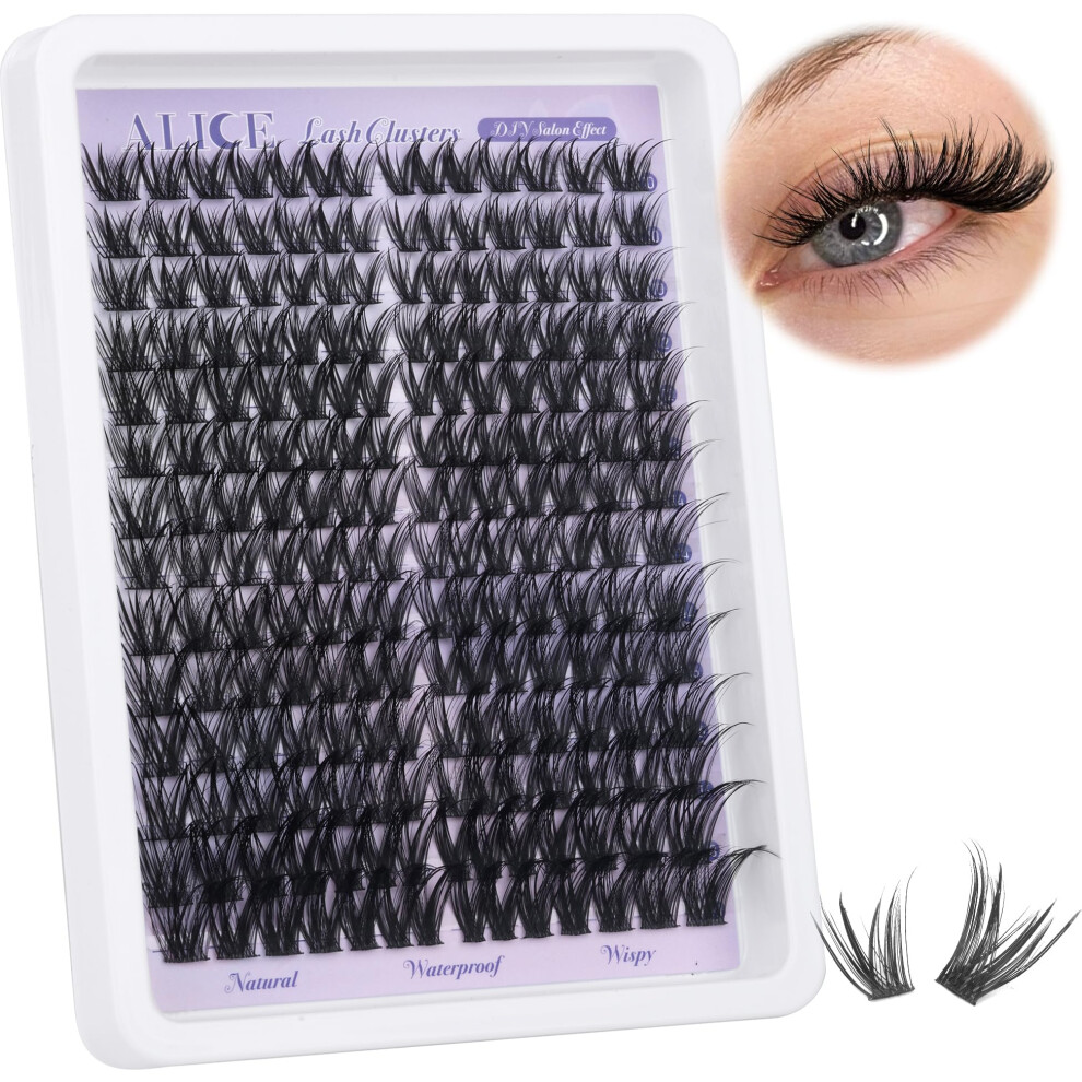 Alice Lash Clusters Wispy Cluster Eyelash Extensions 192Pcs Natural Fluffy Individual Lashes Diy Lash Extension 10-18Mm Cluster Eyelashes With Mix