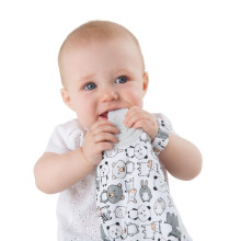Cheeky Chompers Soft Baby Comforter | 4 in 1 Comfortchew | Baby Teething Aid & Sensory Toy | Silicone Teething Section | Soothing + Comforting | Panda