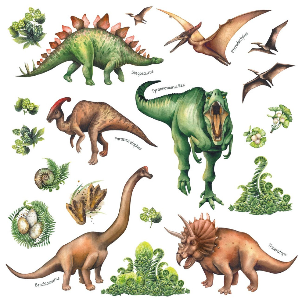 Watercolour Dinosaur Wall Stickers ? Removable Peel & Stick Dino Wall Decals For Kids Bedroom, Nursery & Playroom Decor (Ds4-8034) Decowall