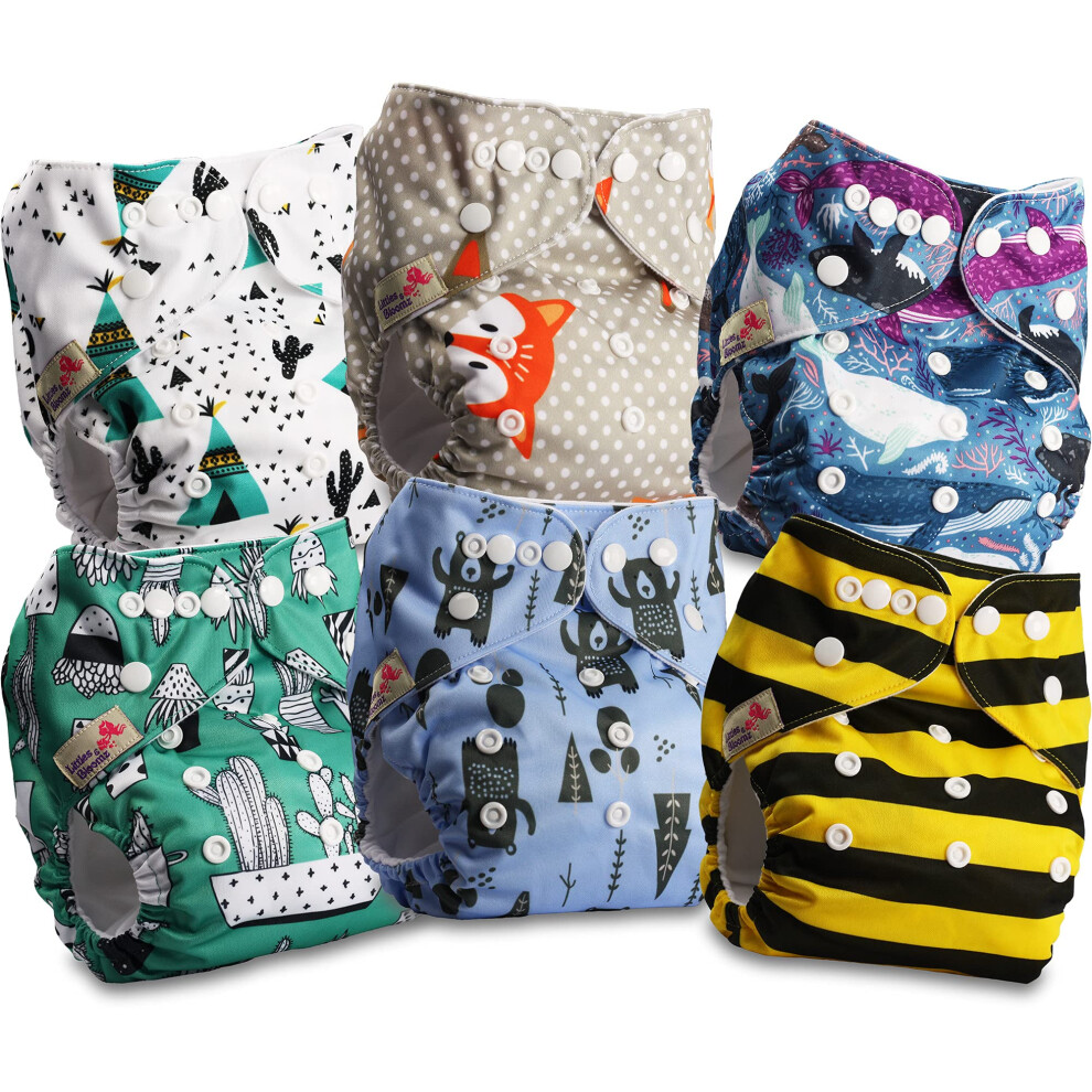 Littles & Bloomz Littles And Bloomz Baby Reusable Pocket Nappy Cloth Diaper, Standard Popper, 6 Nappies, Flp2-0605