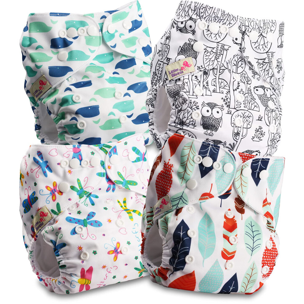 Littles & Bloomz Littles And Bloomz Baby Reusable Pocket Nappy Cloth Diaper, Standard Popper, 4 Nappies, Flp2-0409