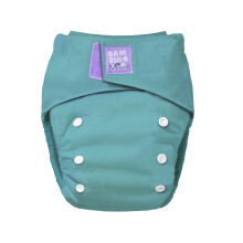 Bambino Mio, Revolutionary Reusable Nappy - Sustainable, Washable, Chemical-Free Eco Nappy from Newborn to Toddler (Teal)