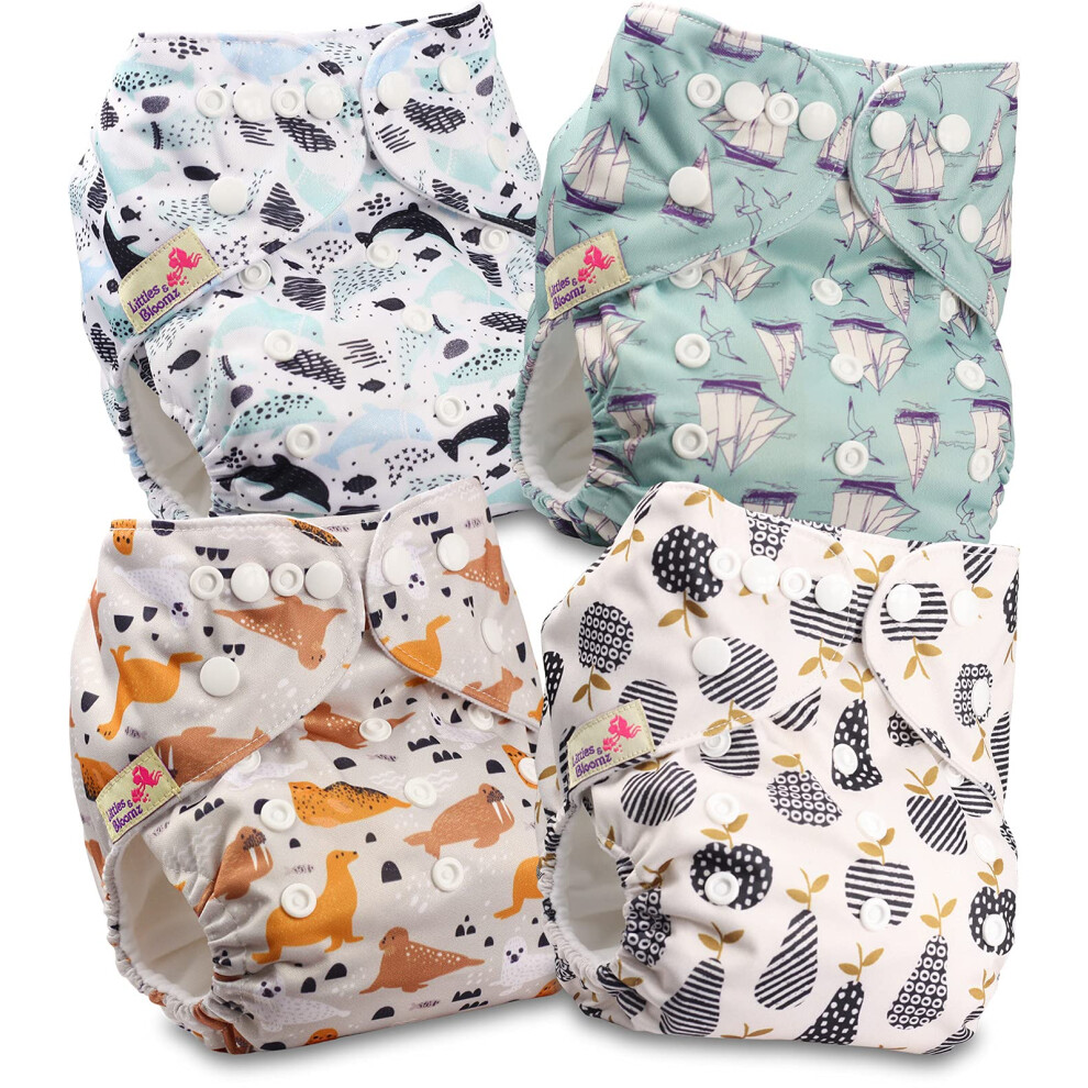 Littles & Bloomz Littles And Bloomz Baby Reusable Pocket Nappy Cloth Diaper, Standard Popper, 4 Nappies, Flp2-0406