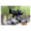 Canon CANON RF 20mm F1.4L VCM Lens 2
