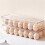 Clear Plastic Egg Holder - 14 Egg Tray Holder - Free Fridge Organizer with Lid, Refrigerator Storage Container 5