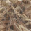 CARUBA Camouflage Net 4x1.5M Riet 2