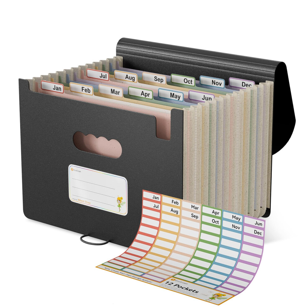 Ecostash Accordion File Organiser, 12 Pockets Wheat Straw Expanding File Folders, Monthly Filling Document Organiser, Bpa Free, Return To Nature, 5051303178762