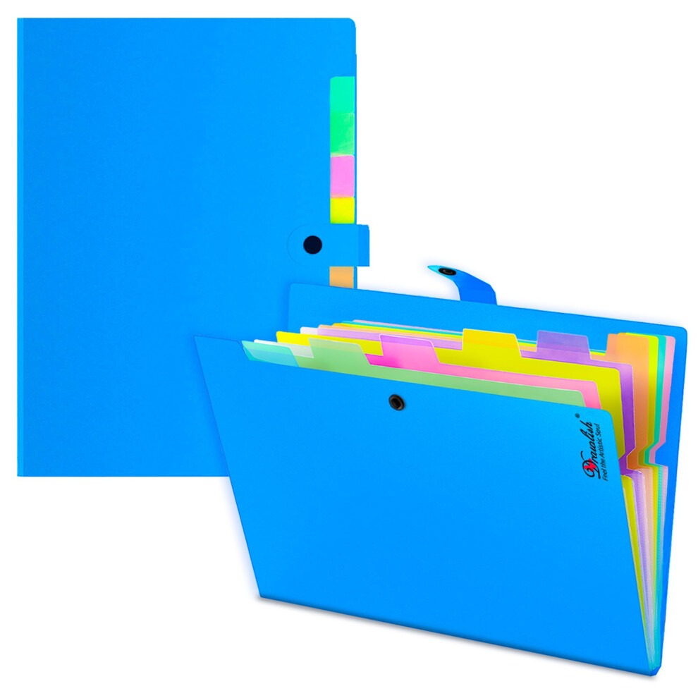 Expanding File Organiser 2 Pcs With 10 Colorful Poly Pockets Each - Document Organiser A4 Folder - Sky Blue Accordion File Folder With Tabs For 5051303183742