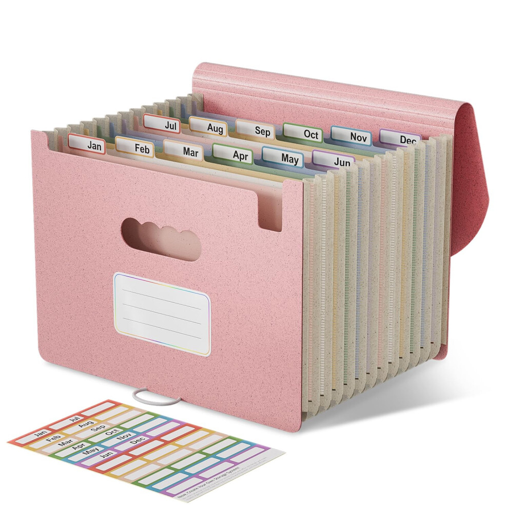 Ecostash Accordion File Organiser, 12 Pockets Wheat Straw Expanding File Folders, Monthly Filling Document Organiser, Bpa Free, Return To Nature, 5051303183285