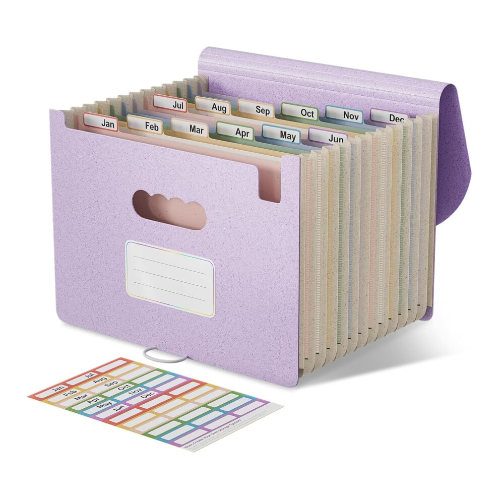 Ecostash Accordion File Organiser, 12 Pockets Wheat Straw Expanding File Folders, Monthly Filling Document Organiser, Bpa Free, Return To Nature, 5051303181359