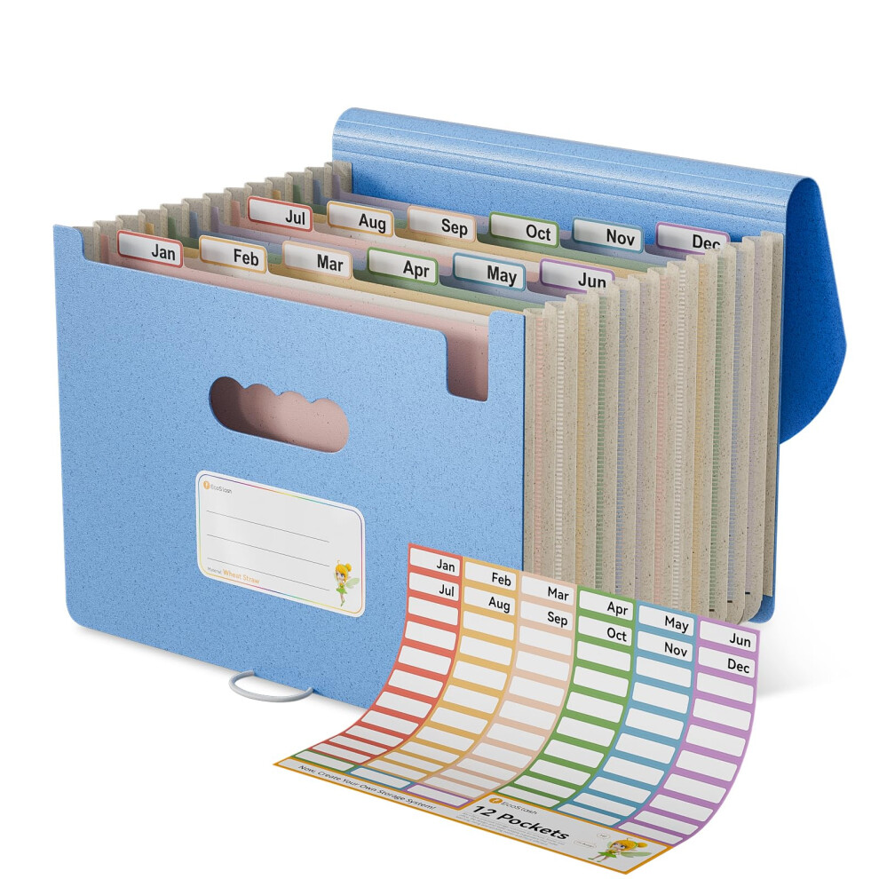 Ecostash Accordion File Organiser, 12 Pockets Wheat Straw Expanding File Folders, Monthly Filling Document Organiser, Bpa Free, Return To Nature, 5051303175631