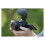 Sony SONY Objectif SEL E PZ 16-50mm f/3.5-5.6 OSS II 3
