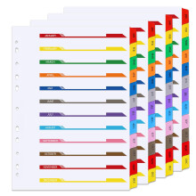 File Dividers A4, 4 Pack January-December Folder Dividers Coloured Multi Hole Punched A4 Dividers Tabbed Index Divider for Lever Arch Files Ring