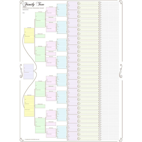 Family Tree Chart; Compact 8 Generation Pedigree Chart 120g paper (coloured, folded)