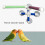 Suction Cup Pet Bird  Bath Shower Stand Platform Pole Double Stick Claw Sharpening Stand Fun Perch 5
