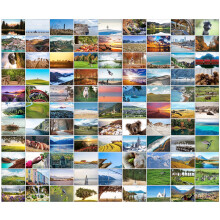 Bear and Bee 100 Landscape Postcards with 100 Different Motifs Postcards Landscapes (100 Photo Cards)