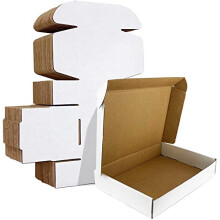 RLAVBL 25 Pack 280x204x51 mm (11x8x2 in) Shipping Boxes Small White Corrugated Cardboard Box for Packing Mailing