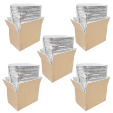 Thermo Chill Double Insulated Carton with Foil Insulated Bag Liner, Cold Shipping Box for Frozen Food, Cooler Moving Box for Posting, Small Parcel