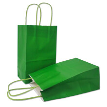 AZOWA Green Gift Bags Small Size Kraft Paper Bags with Handles (22 x 16 x 8 CM, Green, 25 Pcs)