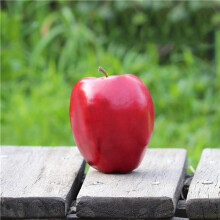 48 Pcs Fake Fruit Apples Artificial Apples Lifelike Simulation Red Apples Home House Decor for Still Life Kitchen Decor