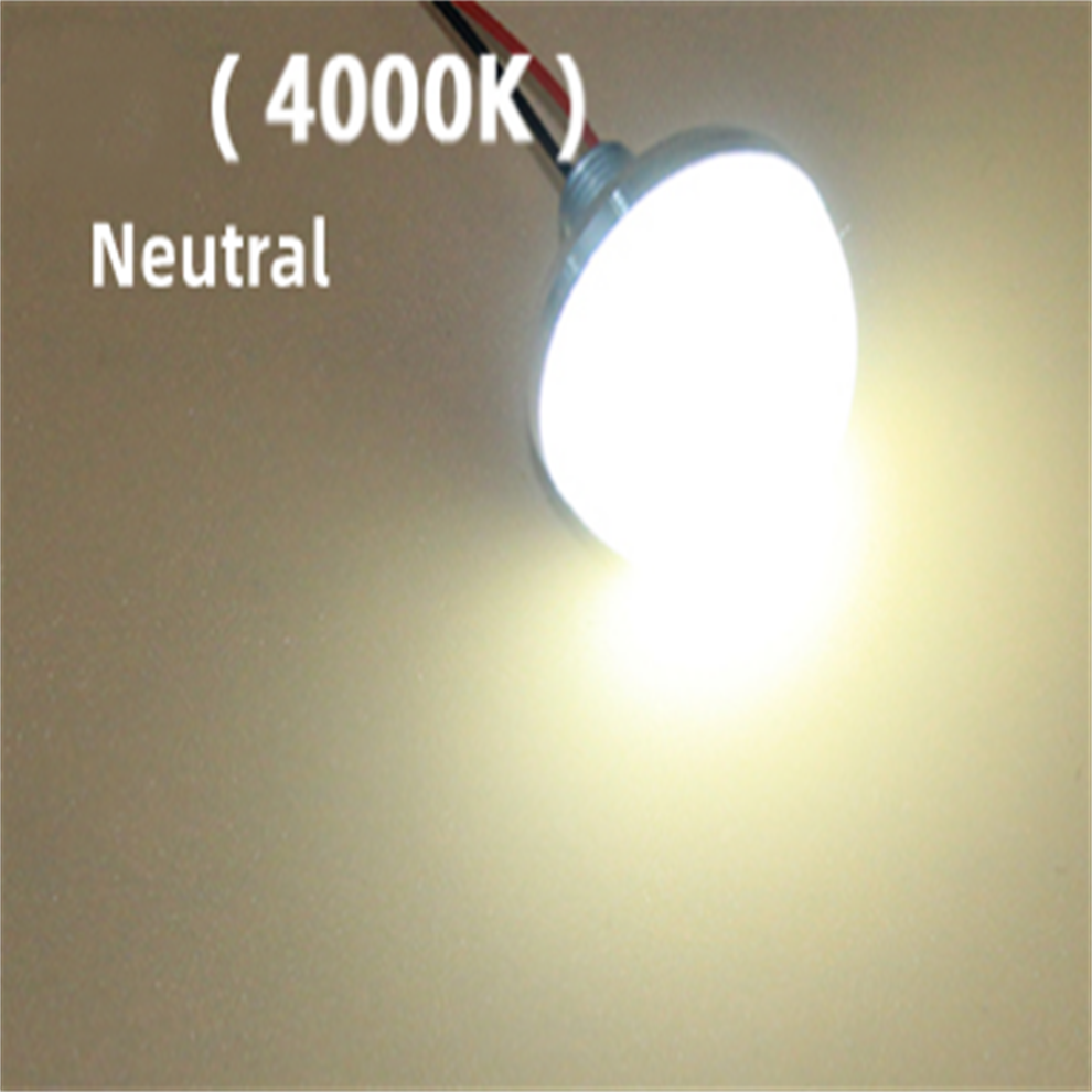 (Neutral) 12V LED 28cm Pre-Wired Light Bulb, 8 Color Changing DIY Home Decoration Lamp-image-OPC-PXCDCGZ-NEW