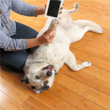 2X Neues Hand- und Fußabdruck-Set für Hunde und Katzen, Abdruckpad-Set für Hundepfoten, Clean-Touch-Stempelpad für Haustiere mit Rahmen
