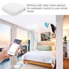 Bluetooth MESH (SIG) Gateway Hub Wireless Remote Control For Alexa Google Home