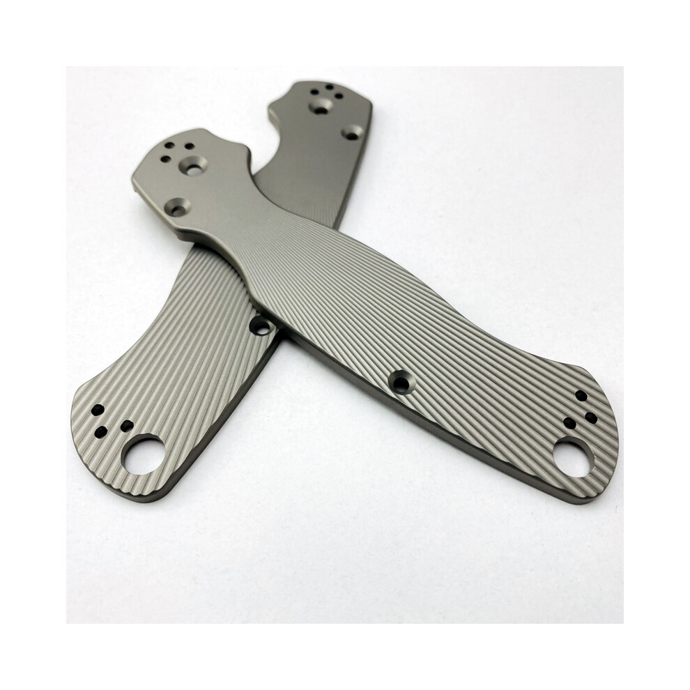 (Model A) 1 Pair Titanium Alloy Grip Patches Shank Scales For C81 Paramilitary 2