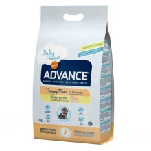 Koiranruoka - Advance - Pentu Mini - 3kg - Täysravinto - Pieni koira